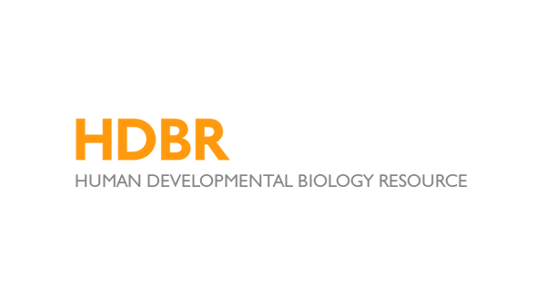 HDBR